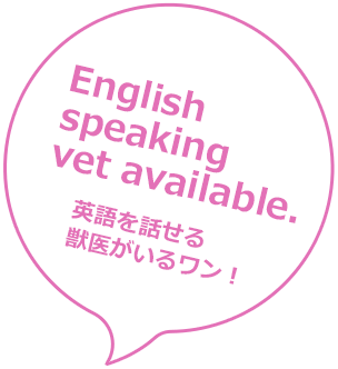 English speaking vet available(英語を話せる
獣医がいるワン!)