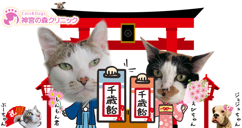 Cats&Dogs神宮の森クリニック